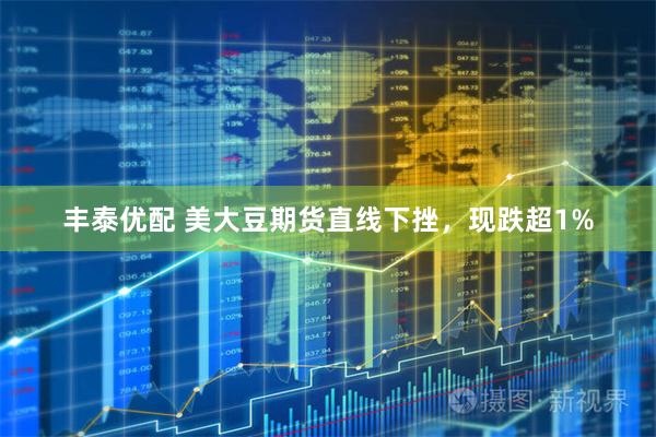 丰泰优配 美大豆期货直线下挫，现跌超1%