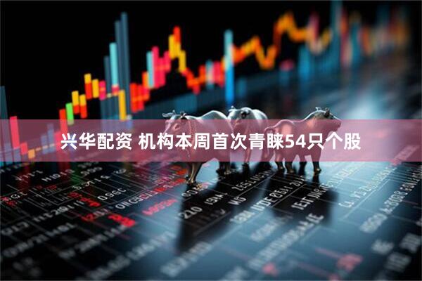 兴华配资 机构本周首次青睐54只个股