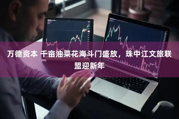 万德资本 千亩油菜花海斗门盛放，珠中江文旅联盟迎新年