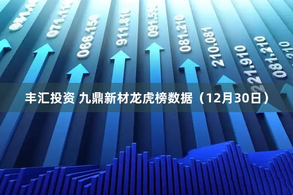 丰汇投资 九鼎新材龙虎榜数据（12月30日）