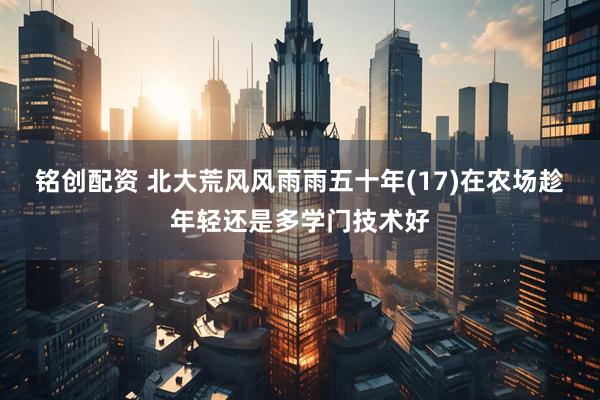 铭创配资 北大荒风风雨雨五十年(17)在农场趁年轻还是多学门技术好