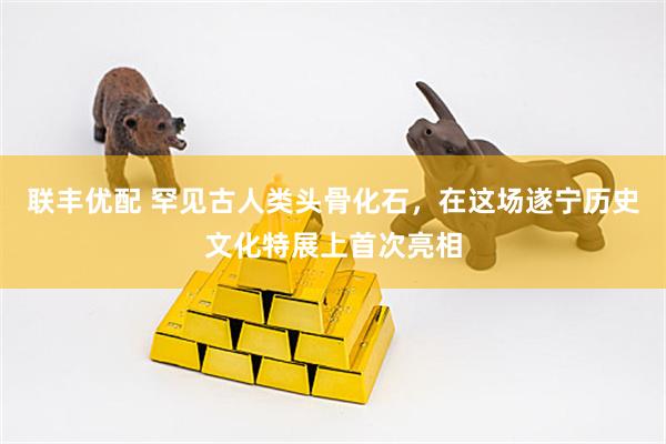 联丰优配 罕见古人类头骨化石，在这场遂宁历史文化特展上首次亮相